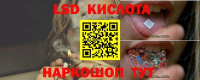 прущая мука Гусев