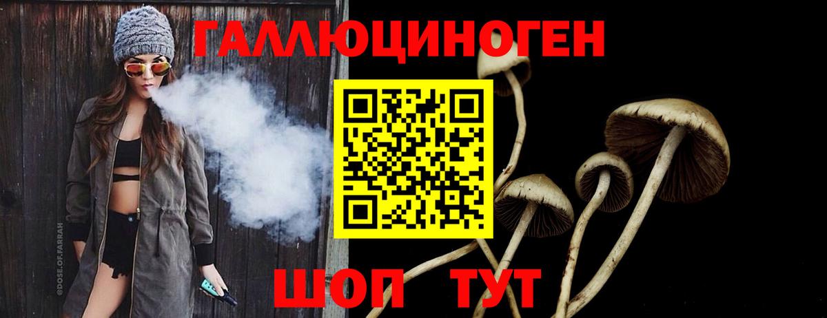 Псилоцибиновые грибы GOLDEN TEACHER  наркотики  Нальчик  Вход с VPN  Галлюциногенные грибы Psilocybine cubensis 